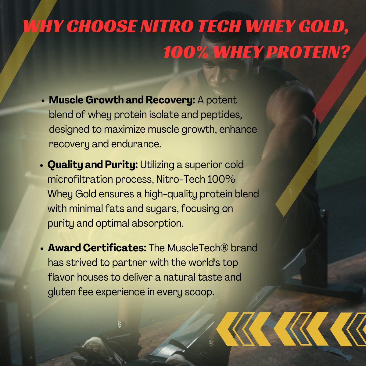 MuscleTech, Nitro Tech Whey Gold, 2-8lbs - Ultimate Sup Singapore