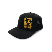 Black w Yellow