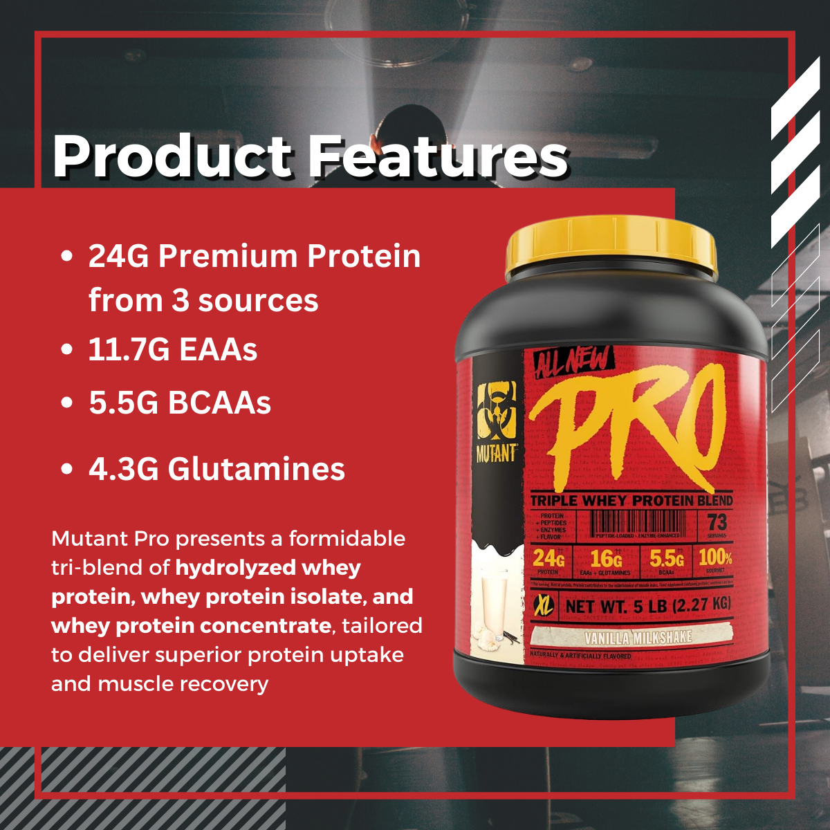 Mutant Pro, Triple Whey Protein, Various Flavors, 5 lb (2.27 kg) - Ultimate Sup Singapore