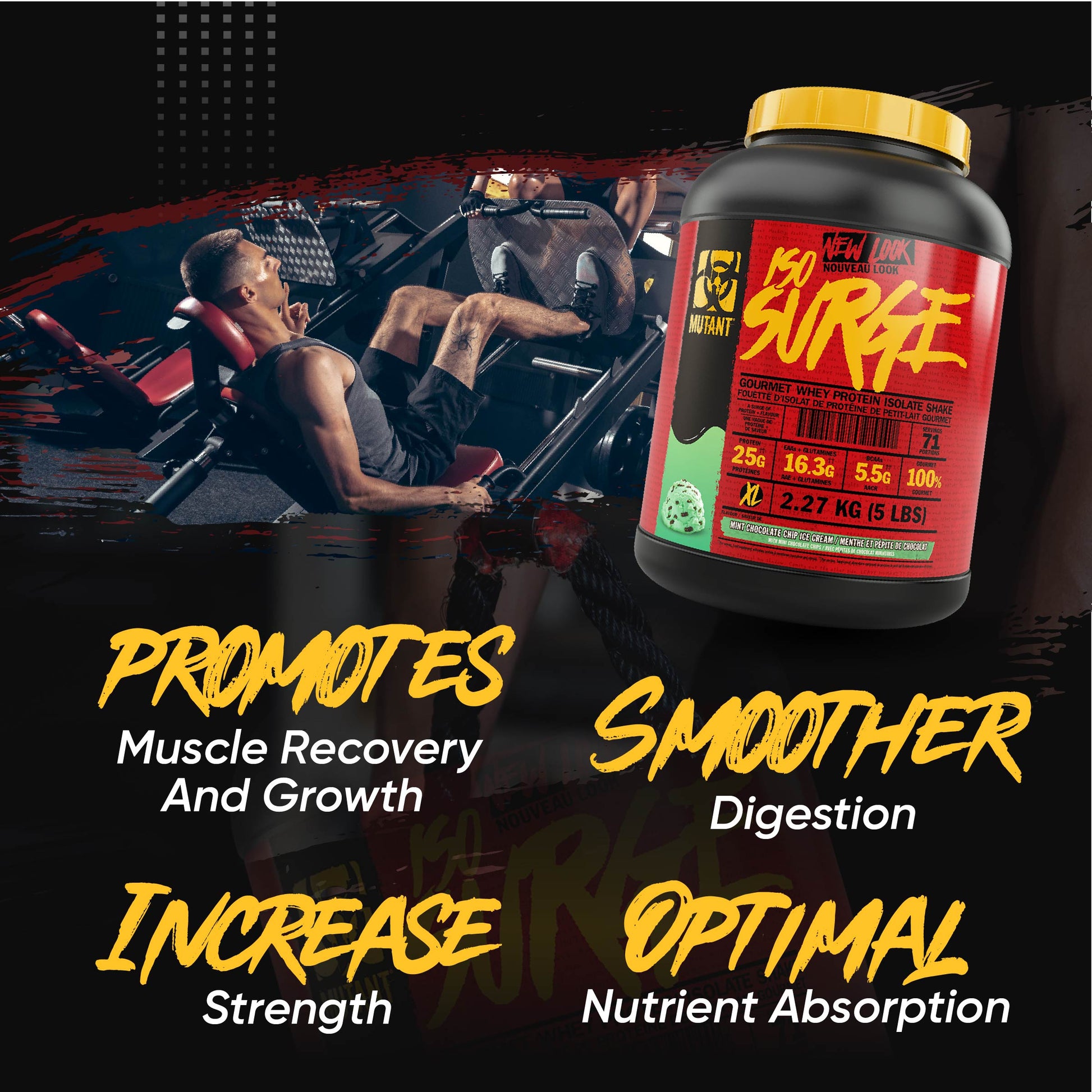 Mutant, ISO Surge, Whey Protein Isolate, 727 g (1.6 lbs) - 2.27 kg (5 lbs) - Ultimate Sup Singapore