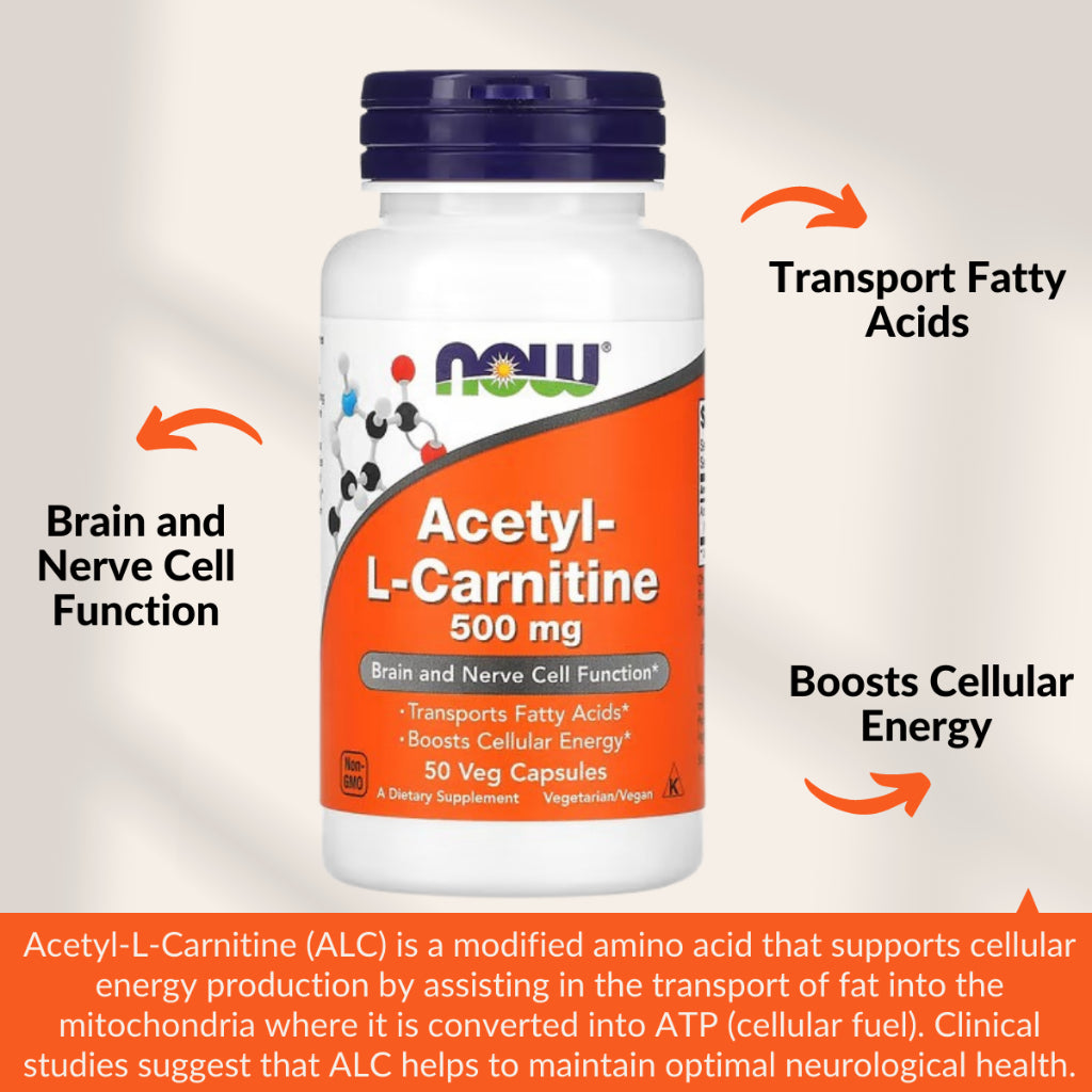 NOW Foods, Acetyl-L- Carnitine 500 mg, 50-200 Veg Caps - Ultimate Sup Singapore