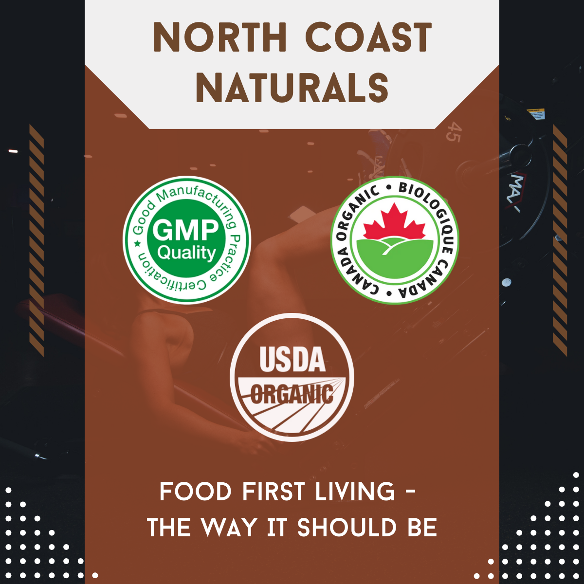 North Coast Naturals, Organic Sprouted Raw Brown Rice Protein, 340-840g - Ultimate Sup Singapore