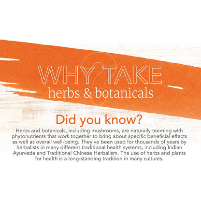 Now Foods, Turmeric Curcumin, Herbal Supplement, 95% Curcuminoids, 60 Veg Capsules - Ultimate Sup Singapore