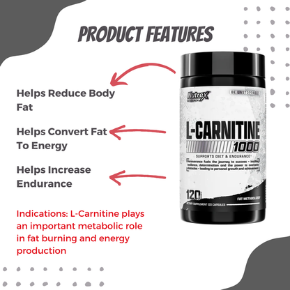 Nutrex Lipo-6 Carnitine, Reduces Body Fat, Increases Endurance, Stimulant Free, Fast Absorbing Capsules, 120 Capsules - Ultimate Sup Singapore