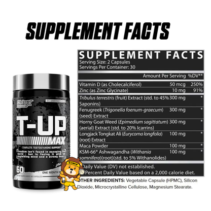 Nutrex T-Up, Raise Total Testosterone Build More Muscle, Supplement, Zinc, B6, B12, 60 Capsules - Ultimate Sup Singapore