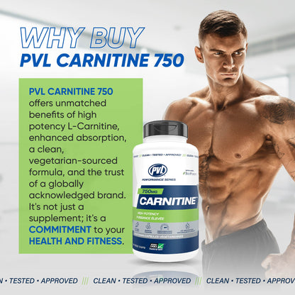 PVL, Carnitine 750 mg – Fat Burner, 90 VegCaps - Ultimate Sup Singapore