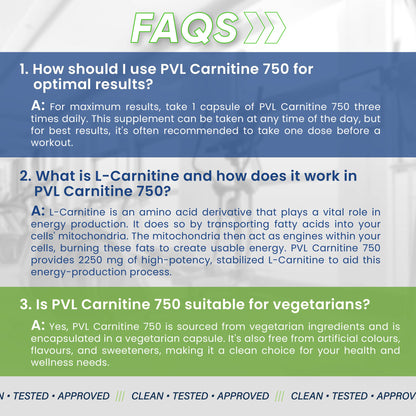 PVL, Carnitine 750 mg – Fat Burner, 90 VegCaps - Ultimate Sup Singapore