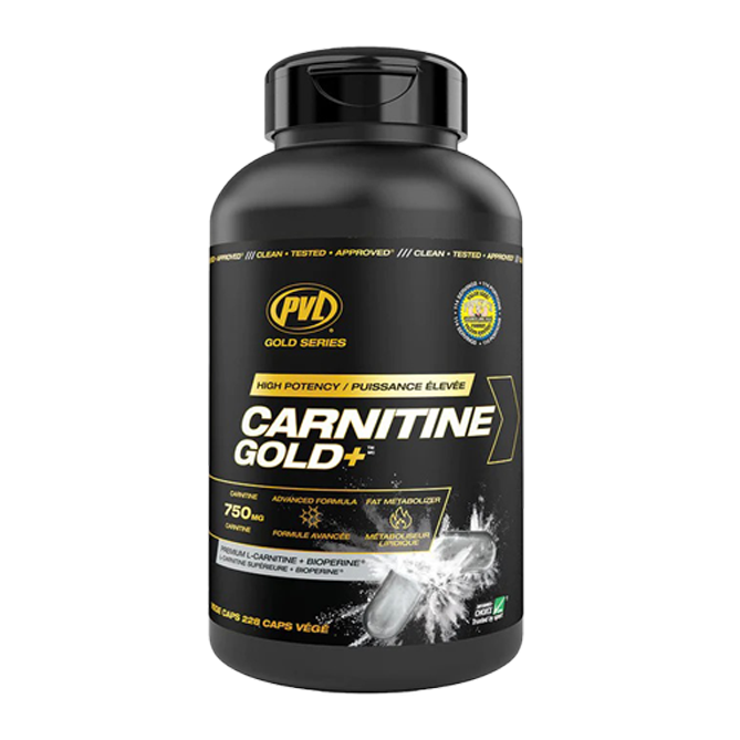 PVL, Carnitine Gold+ L-Carnitine – Fat Burning, 228 Caps - Ultimate Sup Singapore