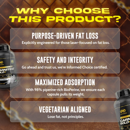 PVL, Carnitine Gold+ L-Carnitine – Fat Burning, 228 Caps - Ultimate Sup Singapore