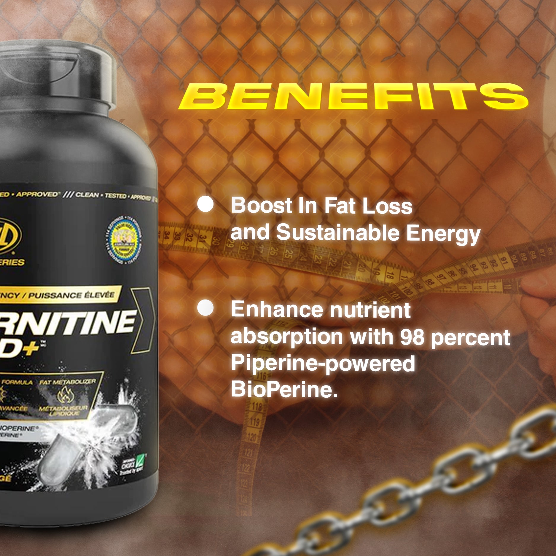 PVL, Carnitine Gold+ L-Carnitine Fat Burning, 228 Caps Ultimate Sup PVL, Carnitine Gold+ L-Carnitine Fat Burning, 228 Caps Ultimate Sup