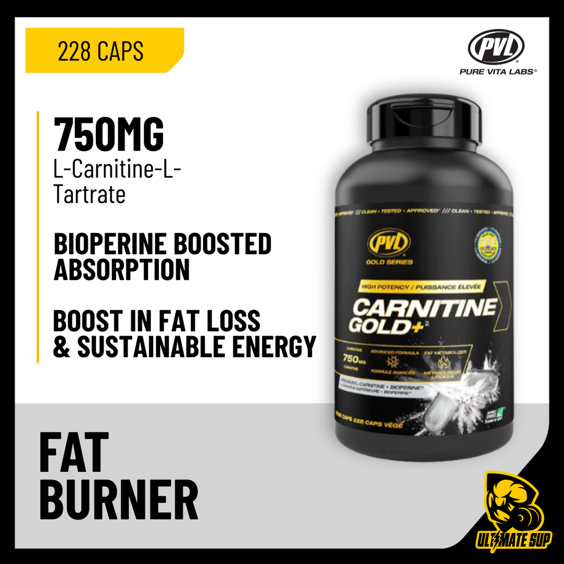 PVL, Carnitine Gold+ L-Carnitine – Fat Burning, 228 Caps - Ultimate Sup Singapore