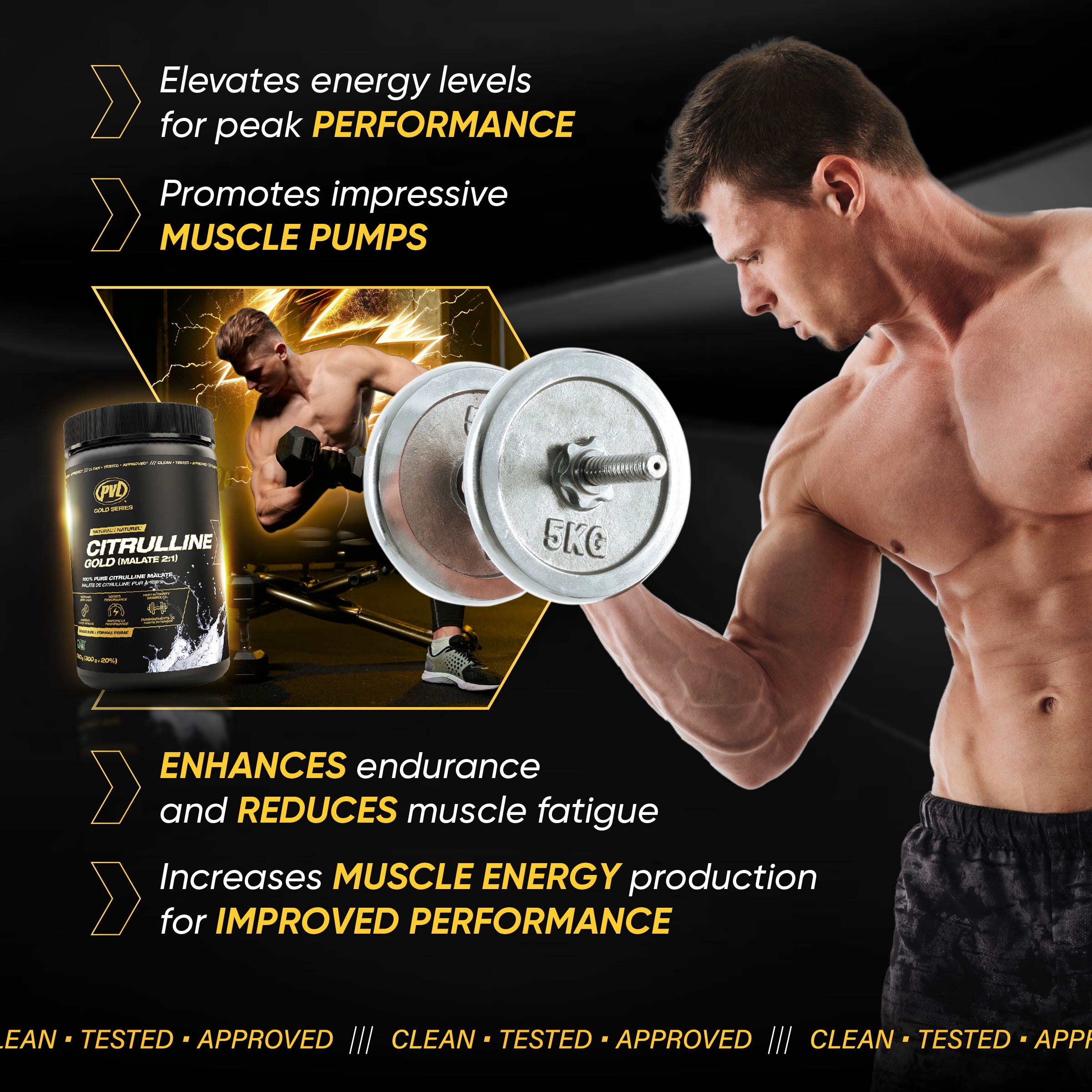 PVL, Citrulline Malate 2:1 – Vascular Function, 360g - Ultimate Sup Singapore