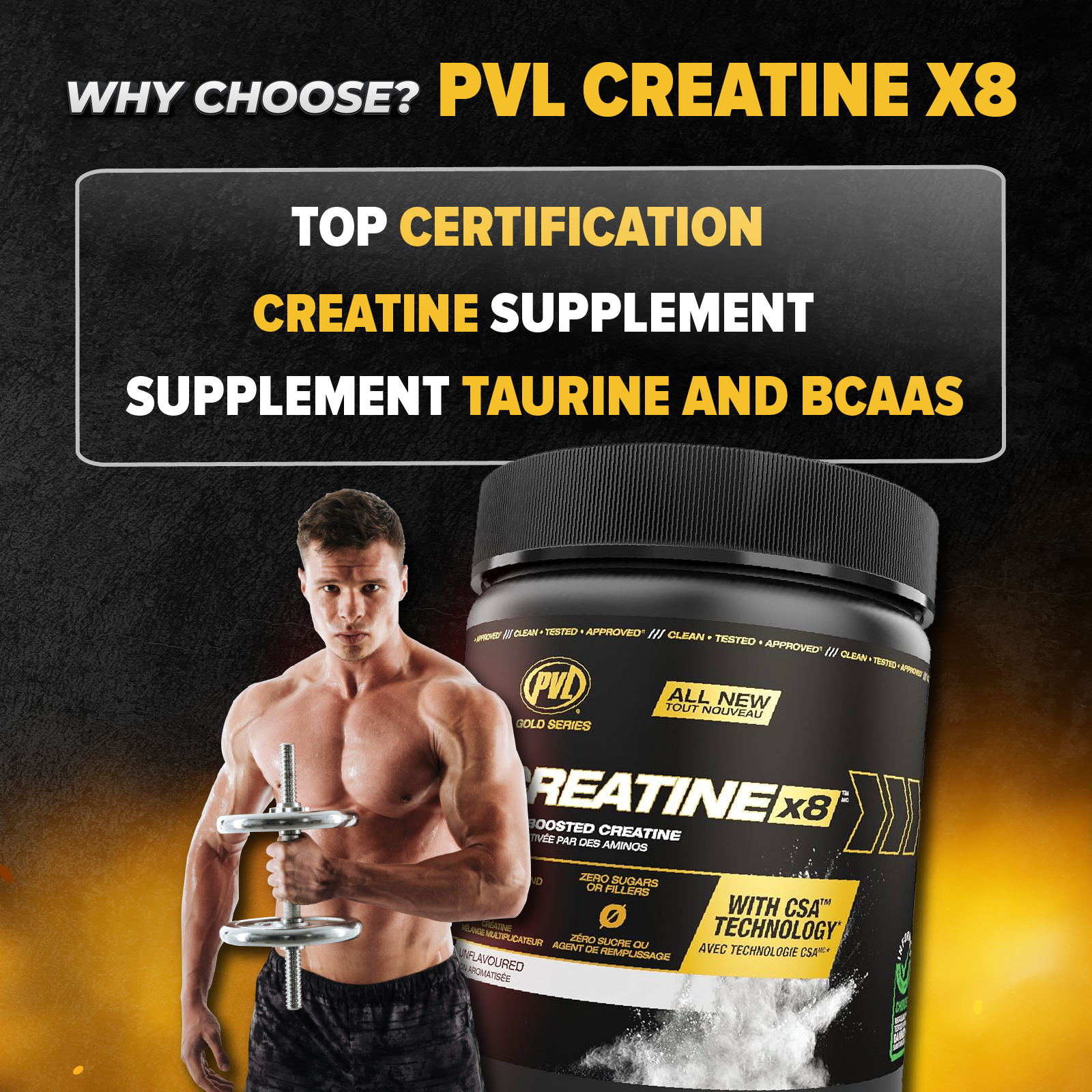 PVL, Creatine X8, 249g - Ultimate Sup Singapore