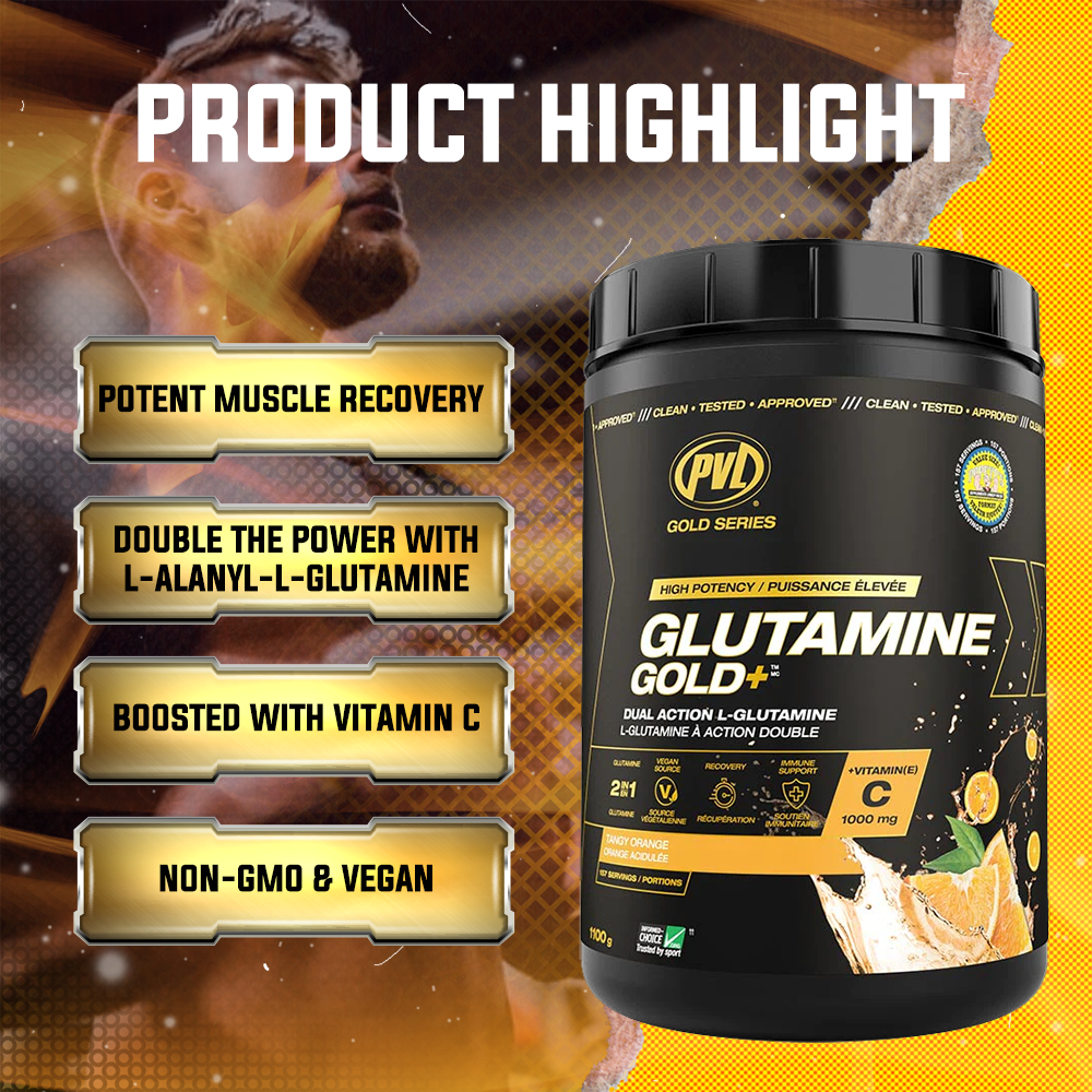 PVL, Glutamine Gold+, 1100g - Ultimate Sup Singapore