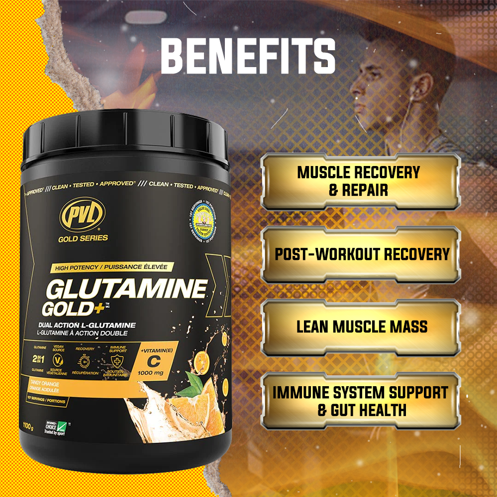 PVL, Glutamine Gold+, 1100g - Ultimate Sup Singapore