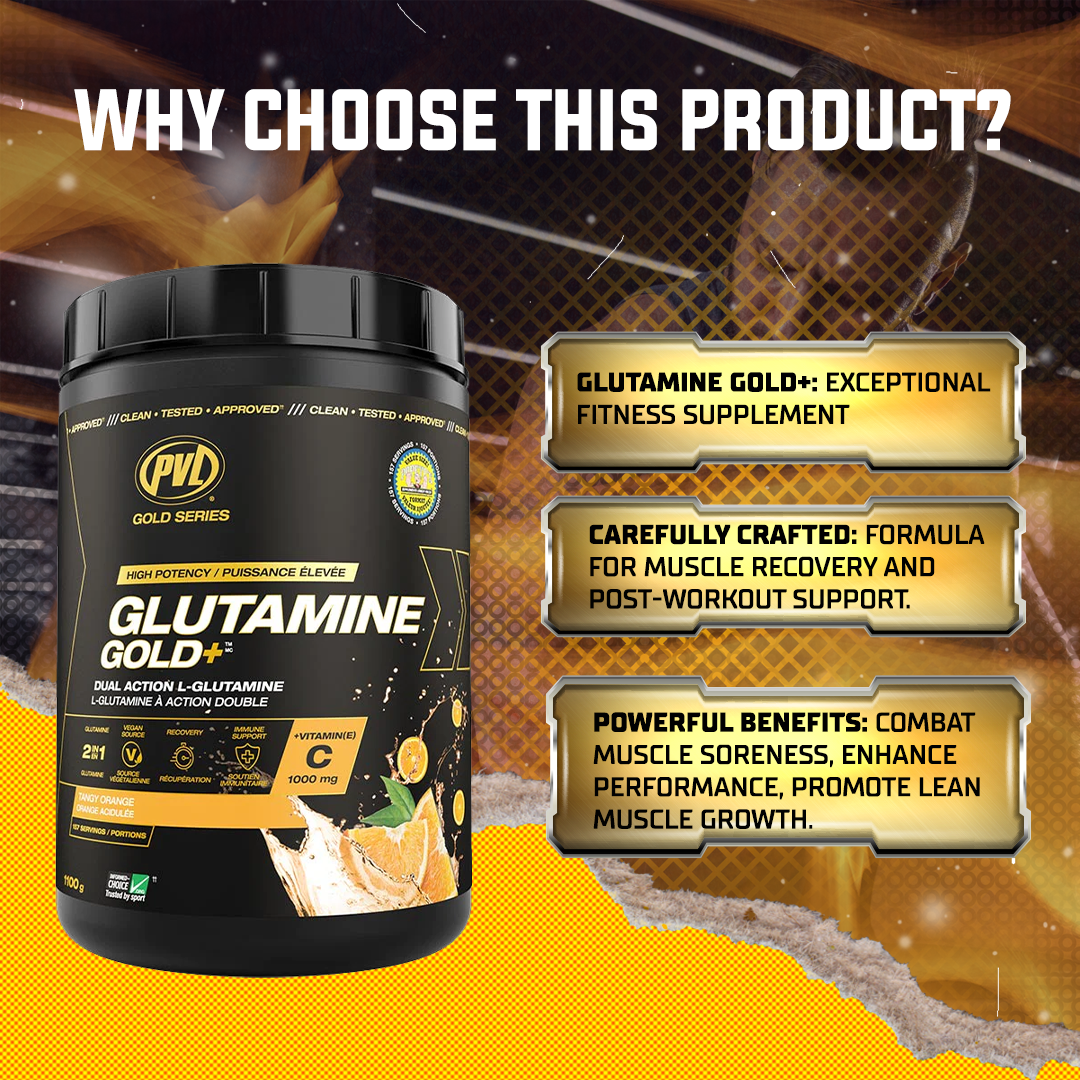 PVL, Glutamine Gold+, 1100g - Ultimate Sup Singapore