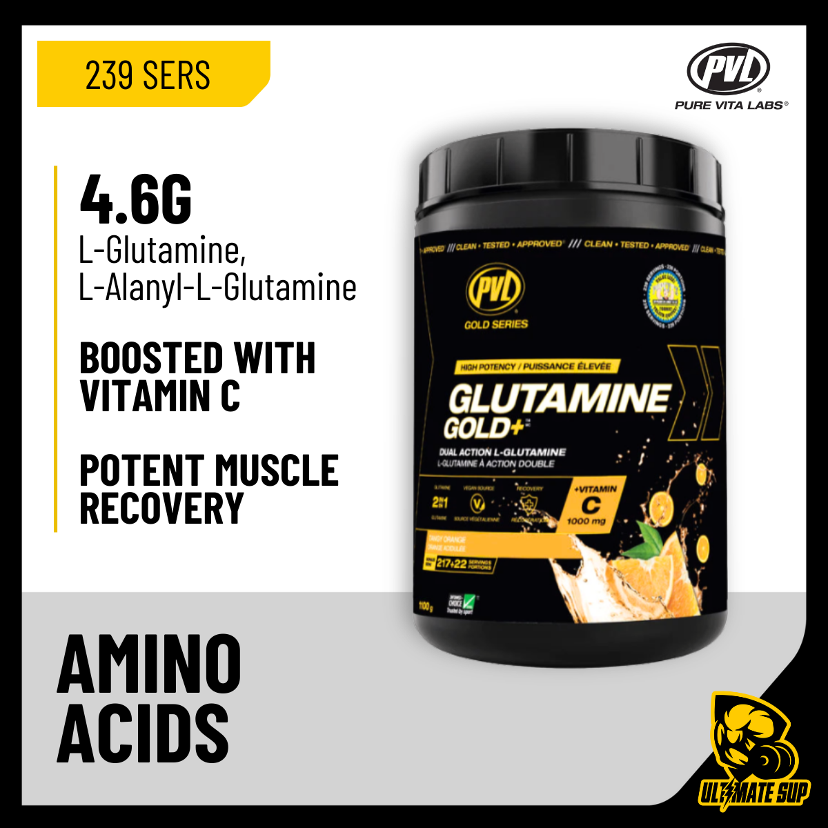 PVL, Glutamine Gold+, 1100g - Ultimate Sup Singapore