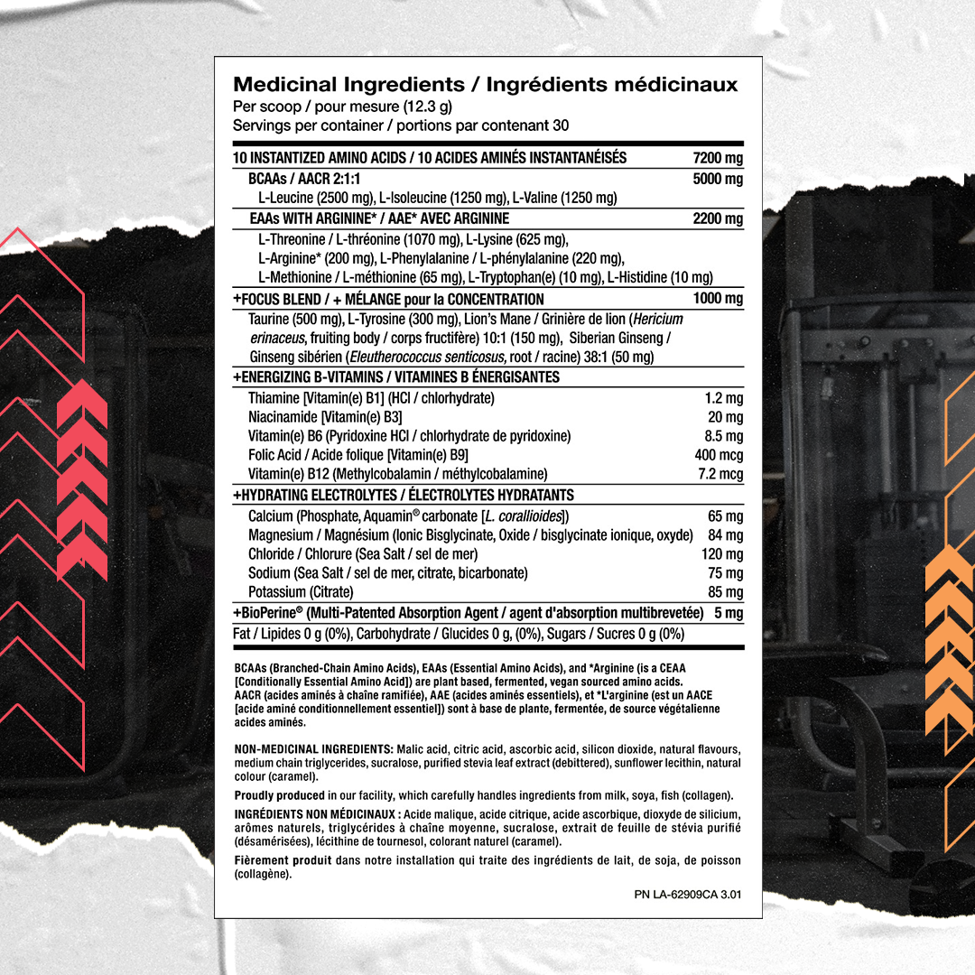 PVL, Gold Series EAA + BCAA Complete, 369g - Ultimate Sup Singapore