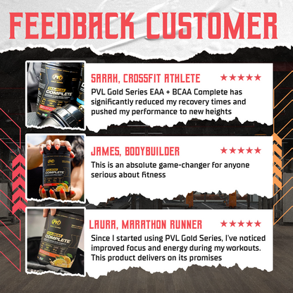 PVL, Gold Series EAA + BCAA Complete, 369g - Ultimate Sup Singapore