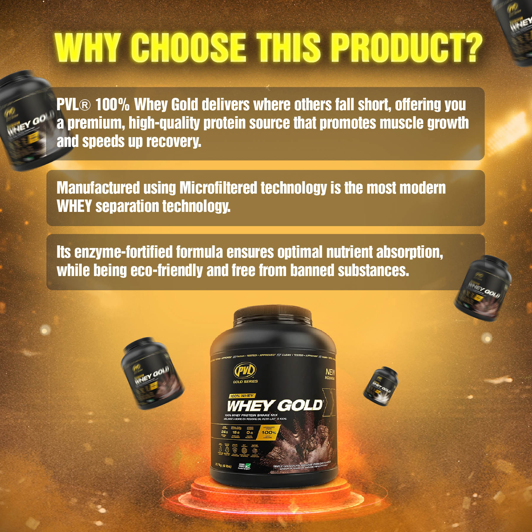 PVL Gold Series, Gold Whey Protein Powder, 6 lb (2.72 kg) - Ultimate Sup Singapore