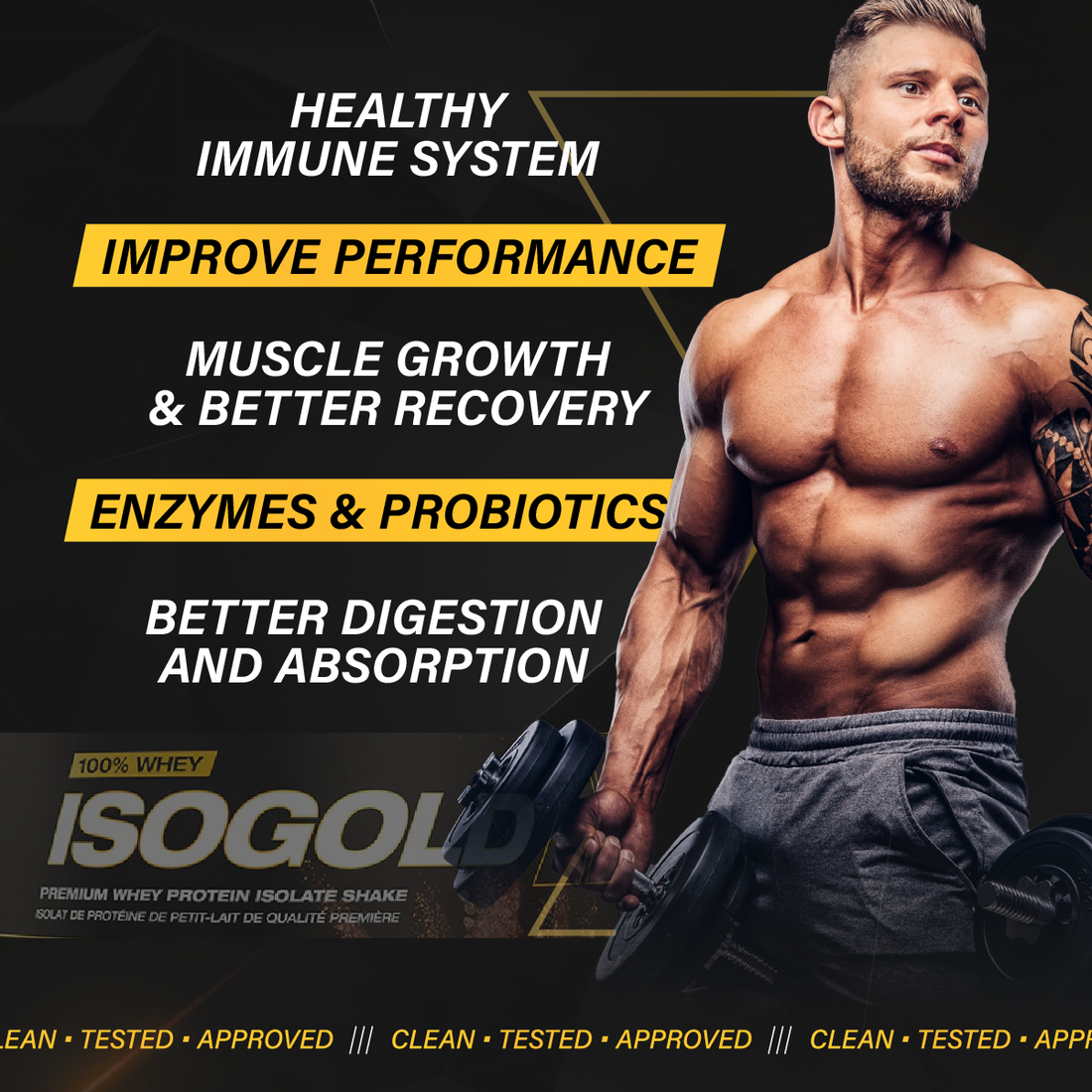 PVL Gold Series, Iso Gold - Whey Protein Isolate, 2-5 lbs - Ultimate Sup Singapore