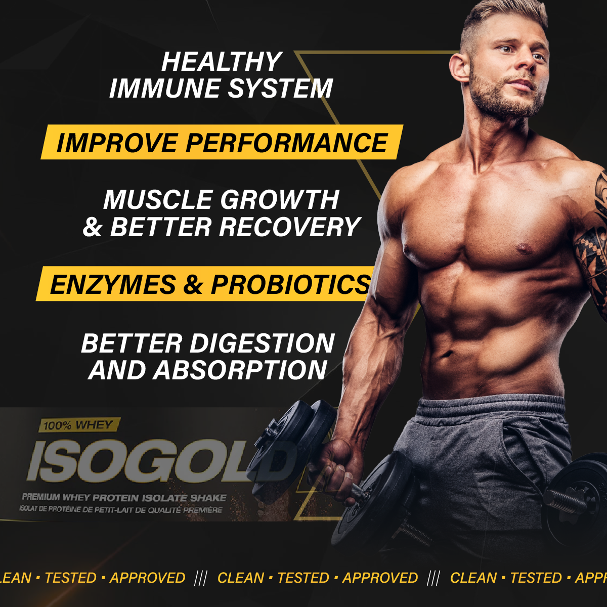 PVL Gold Series, Iso Gold - Whey Protein Isolate, 2-5 lbs - Ultimate Sup Singapore