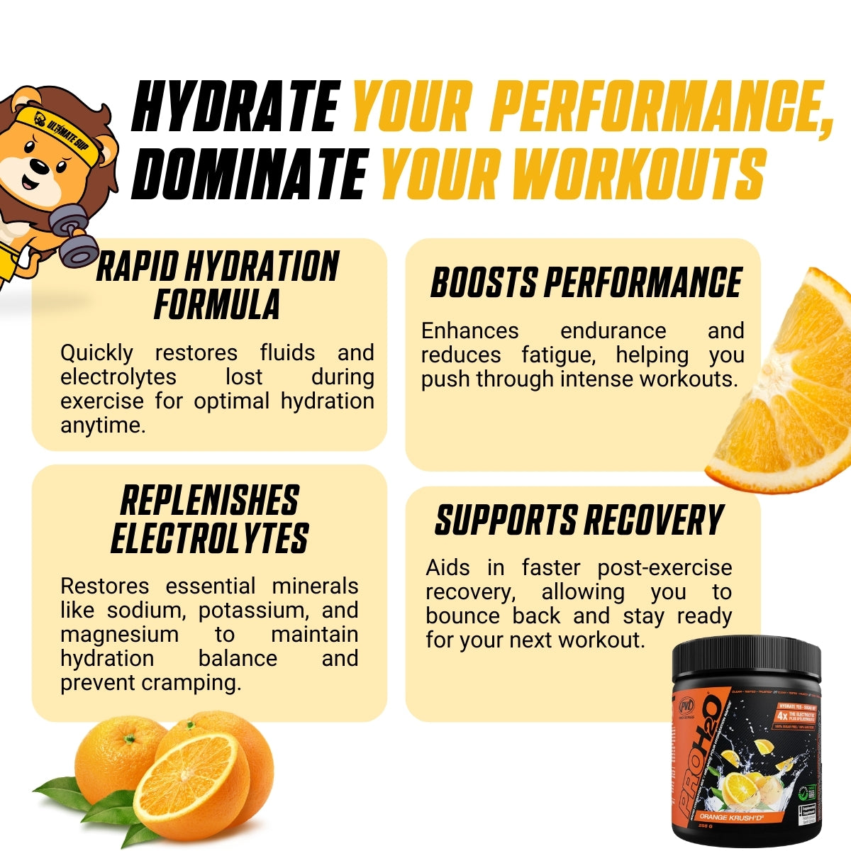 PVL, PROH2O Rapid Hydration Mix, 30 Sers - Ultimate Sup Singapore