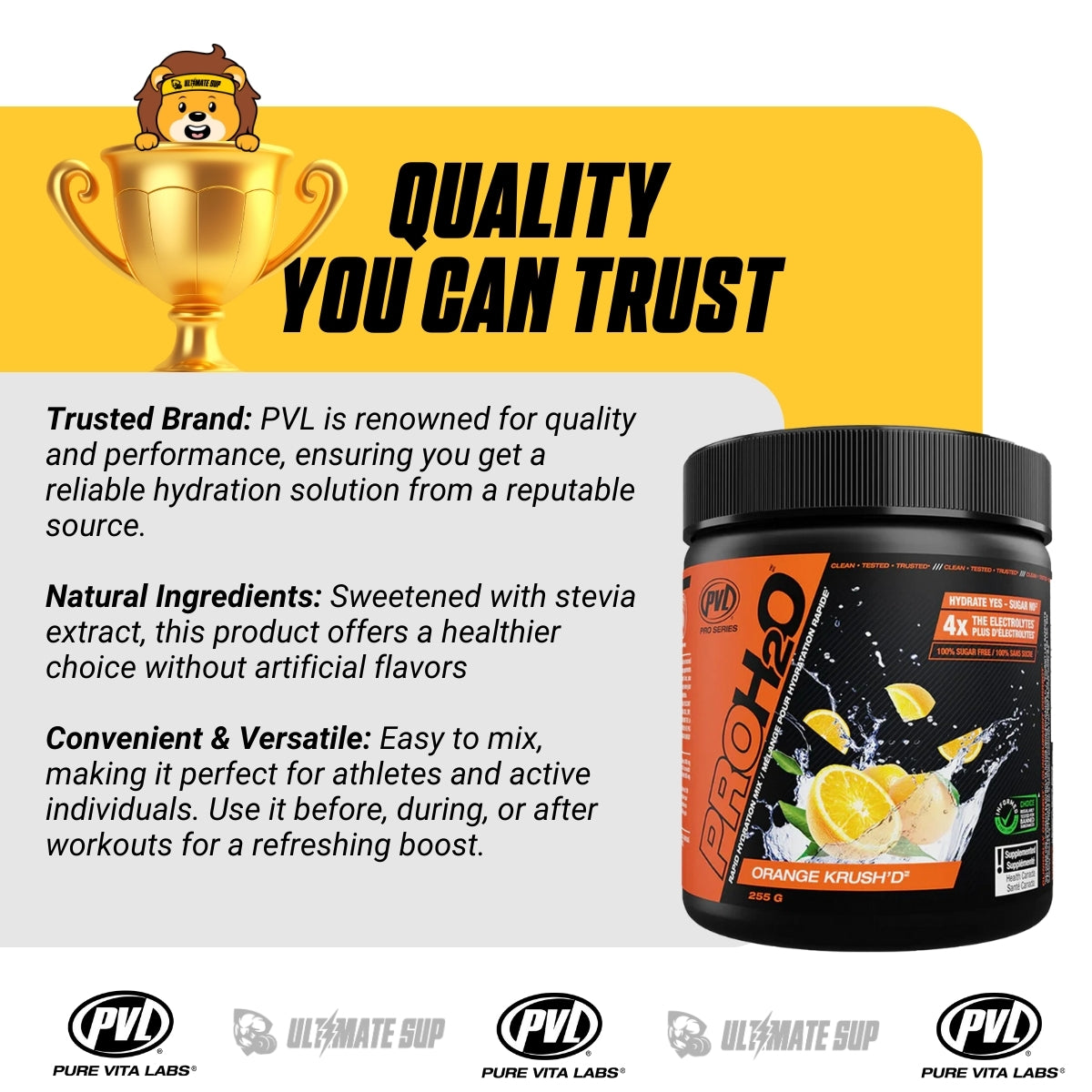 PVL, PROH2O Rapid Hydration Mix, 30 Sers - Ultimate Sup Singapore