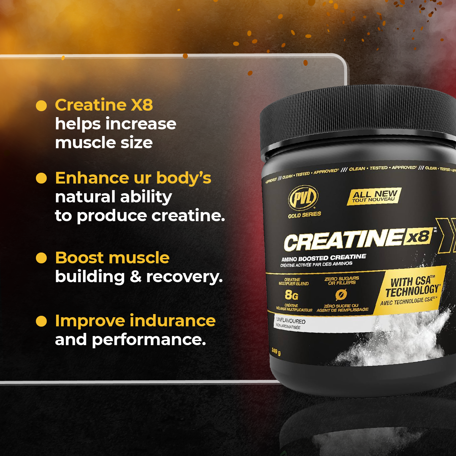 PVL Gold Series Creatine X8, 249g - Ultimate Sup Singapore