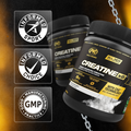 PVL Gold Series Creatine X8, 249g - Ultimate Sup Singapore