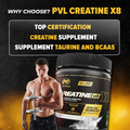 PVL Gold Series Creatine X8, 249g - Ultimate Sup Singapore