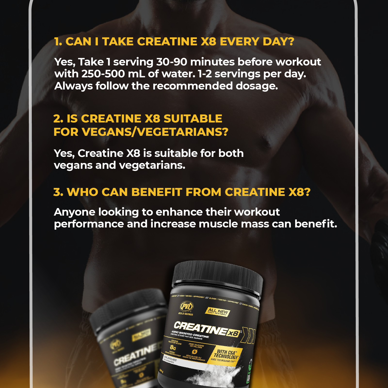 PVL Gold Series Creatine X8, 249g - Ultimate Sup Singapore