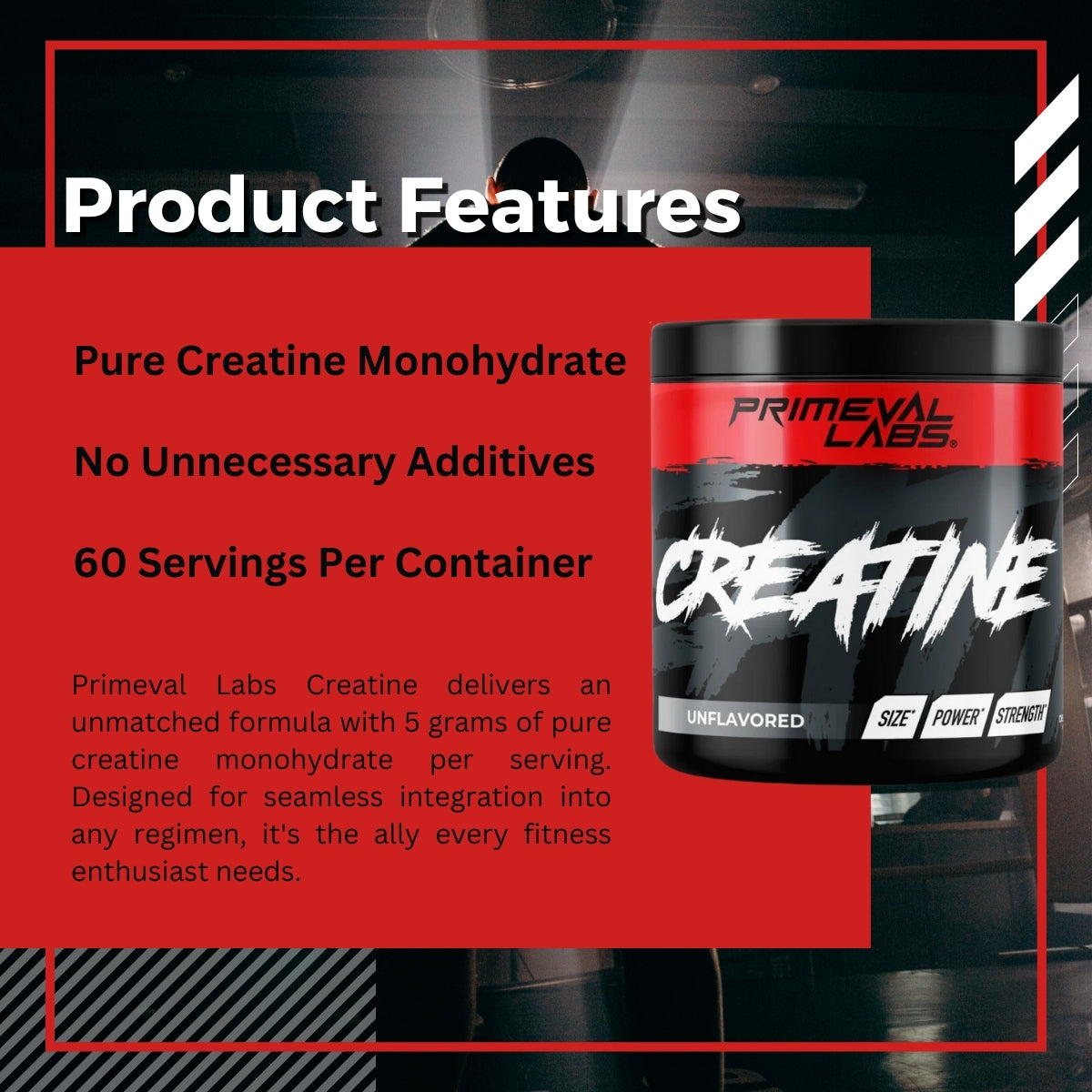Primeval Labs, Creatine Monohydrate, Build Muscle, Unflavoured, 60 servings, 300g - Ultimate Sup Singapore