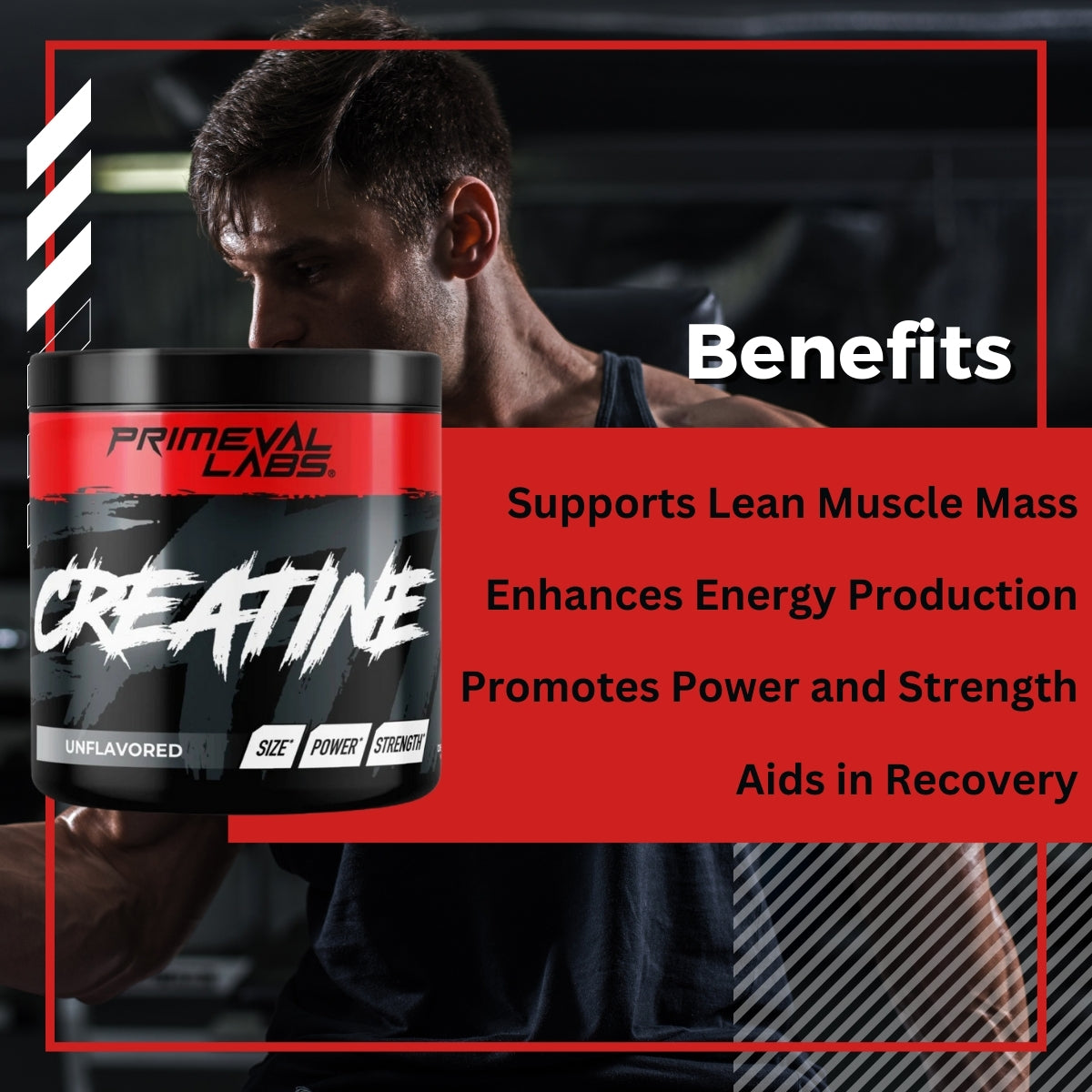 Primeval Labs, Creatine Monohydrate, Build Muscle, Unflavoured, 60 servings, 300g - Ultimate Sup Singapore