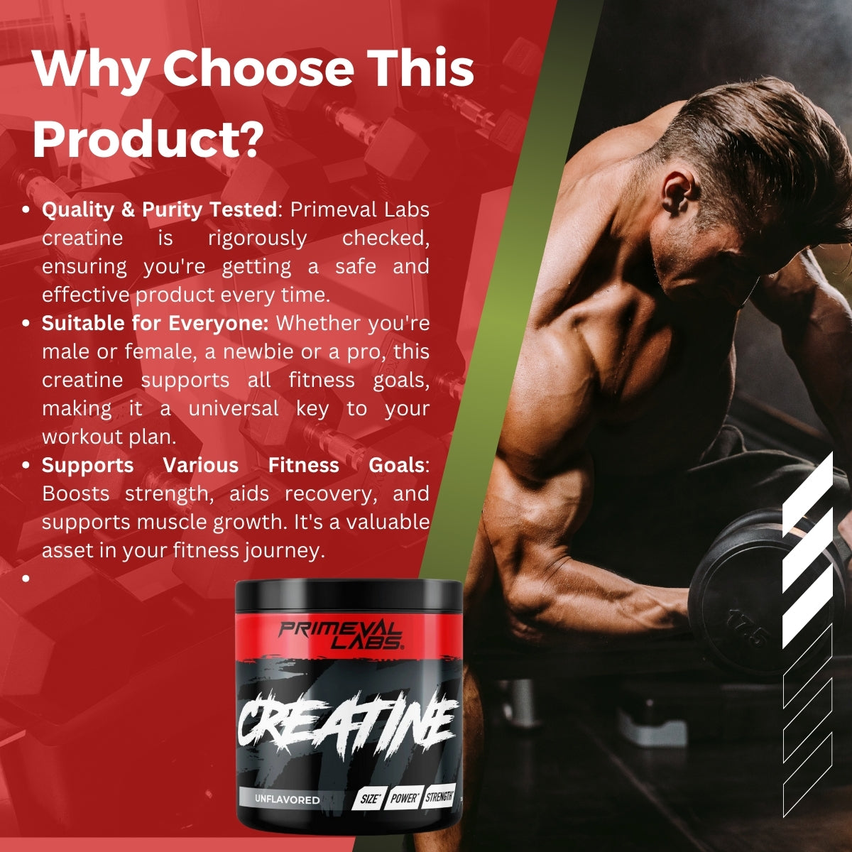 Primeval Labs, Creatine Monohydrate, Build Muscle, Unflavoured, 60 servings, 300g - Ultimate Sup Singapore