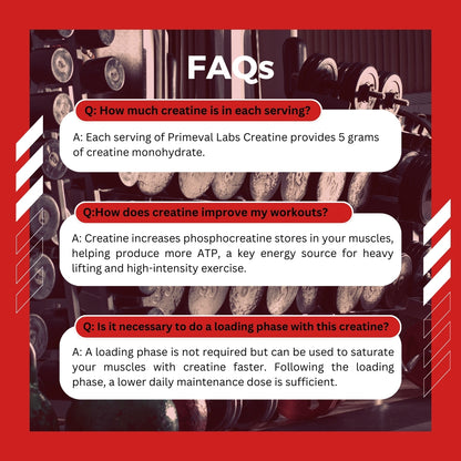 Primeval Labs, Creatine Monohydrate, Build Muscle, Unflavoured, 60 servings, 300g - Ultimate Sup Singapore