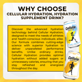 Cellular Hydration, Hydration Supplement Drink, 3-12 pack - Ultimate Sup Singapore