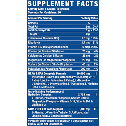 Ronnie Coleman, Amino Tone, EAA, 30 Servings - Ultimate Sup Singapore
