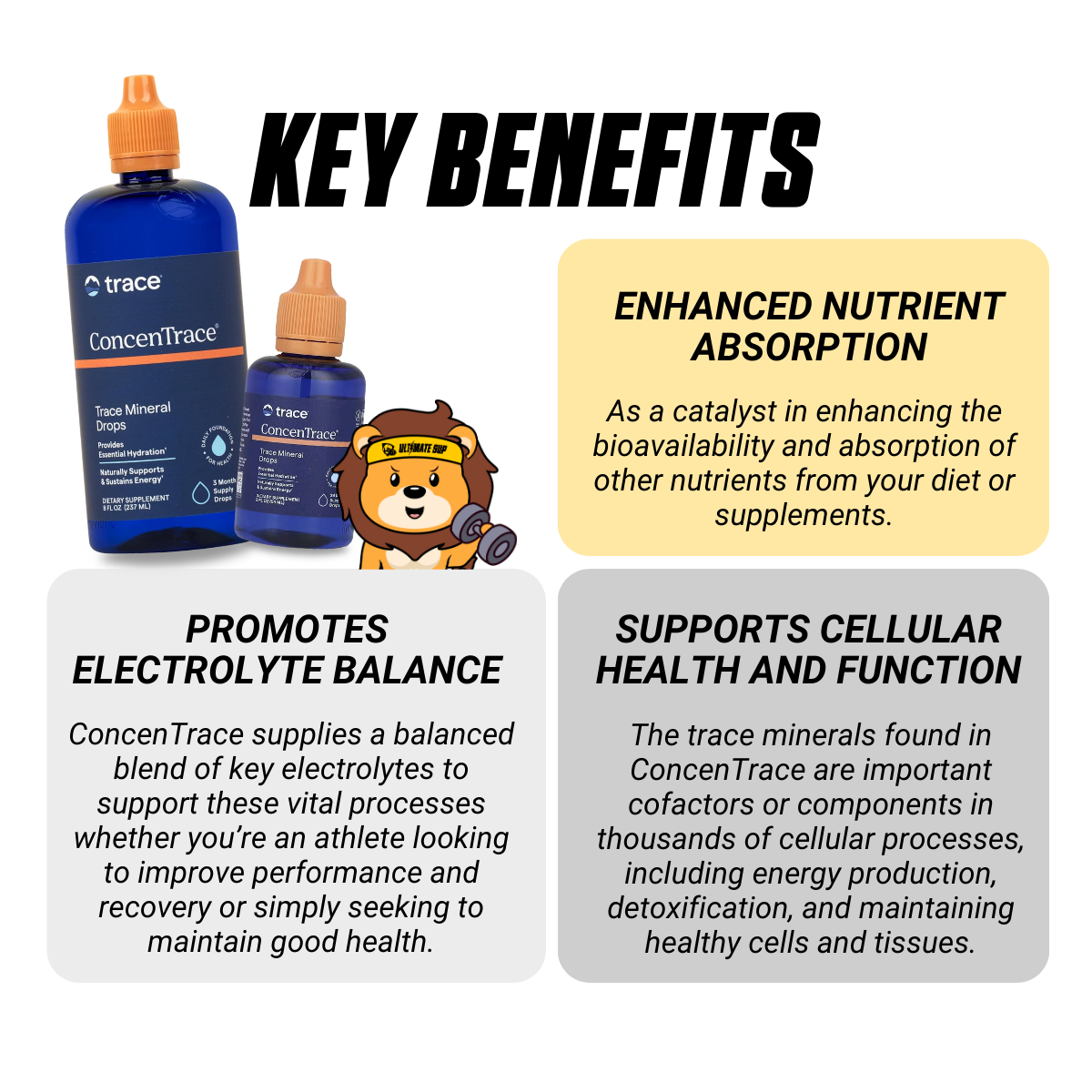 Trace, ConcenTrace, Trace Mineral Drops, Hydration & Joint Support 2-8 floz, 59-237ml - Ultimate Sup Singapore