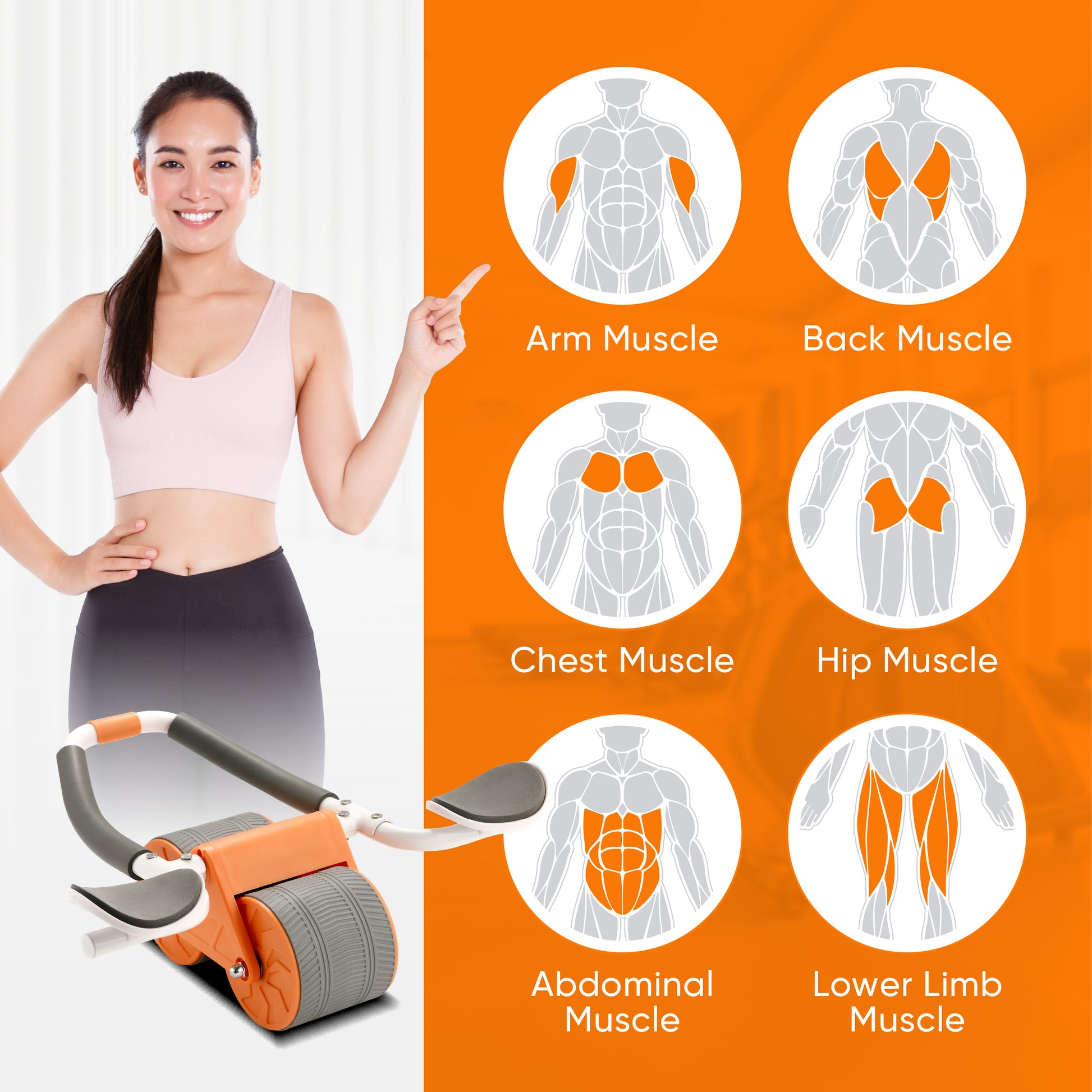 Ultimate Sup, ABS Wheel Roller, ABS Workout, Roller Exercise, Fitness Equipment - Ultimate Sup Singapore