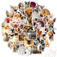 Cats & Dogs