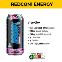 RC1 Vice City