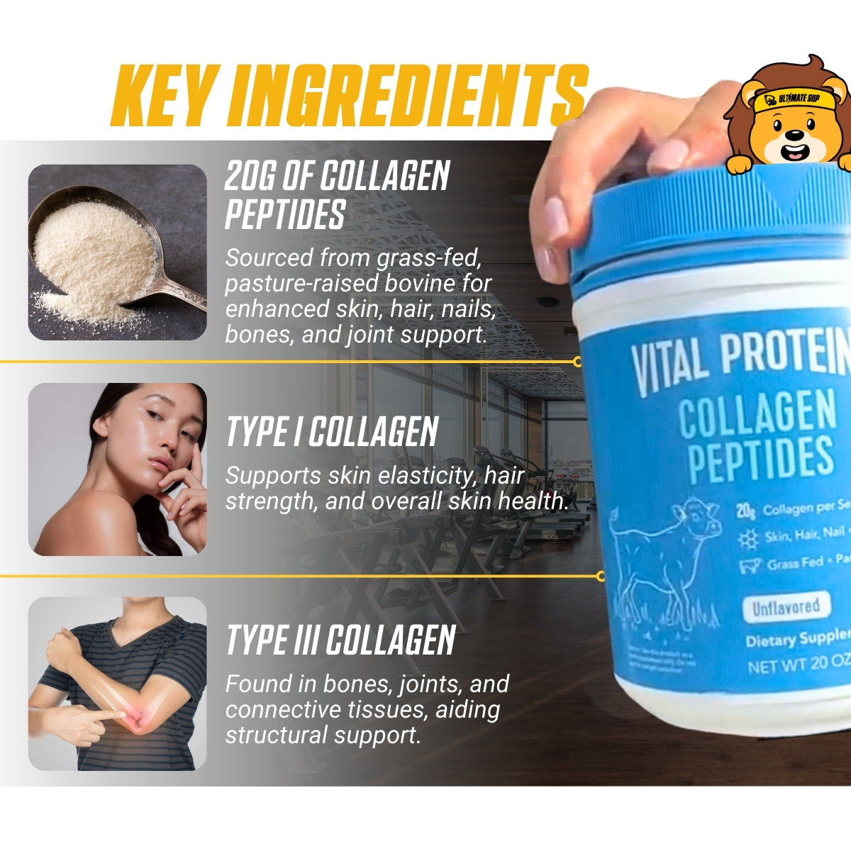 Vital Proteins, Collagen Peptides Powder, 284-567 gams - Ultimate Sup Singapore