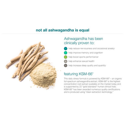 Youtheory, Ashwagandha, 60 Vegetarian Capsules - Ultimate Sup Singapore