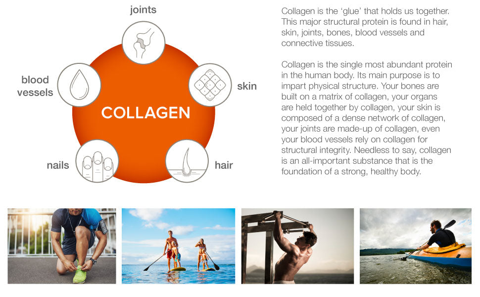 Youtheory, Collagen for Men, 160-290 Tabs - Ultimate Sup Singapore
