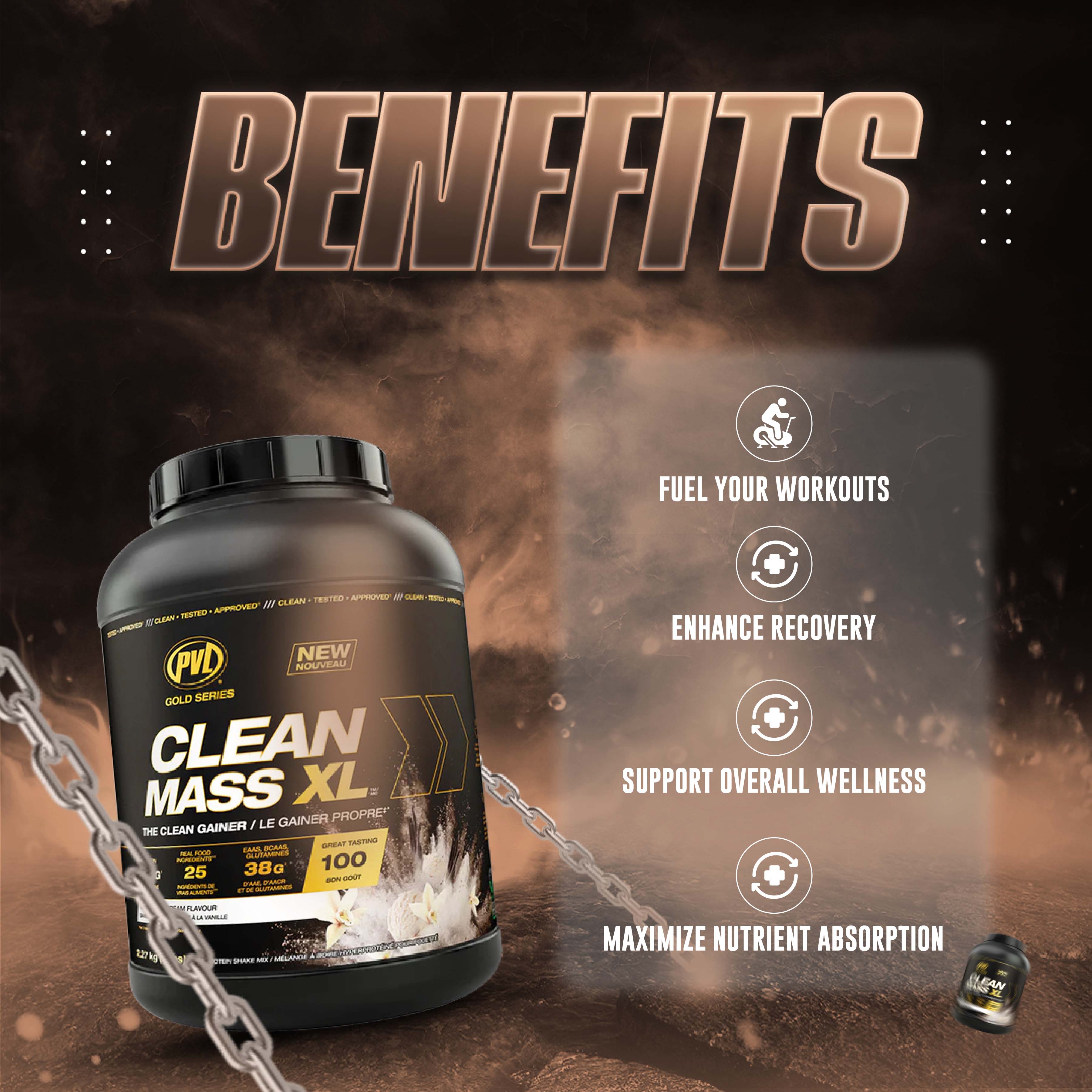 PVL, Clean Mass XL Protein Powder, 5-10 lbs (2.3-4.5 kg) - Ultimate Sup Singapore