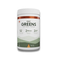Green Iced Tea 285g
