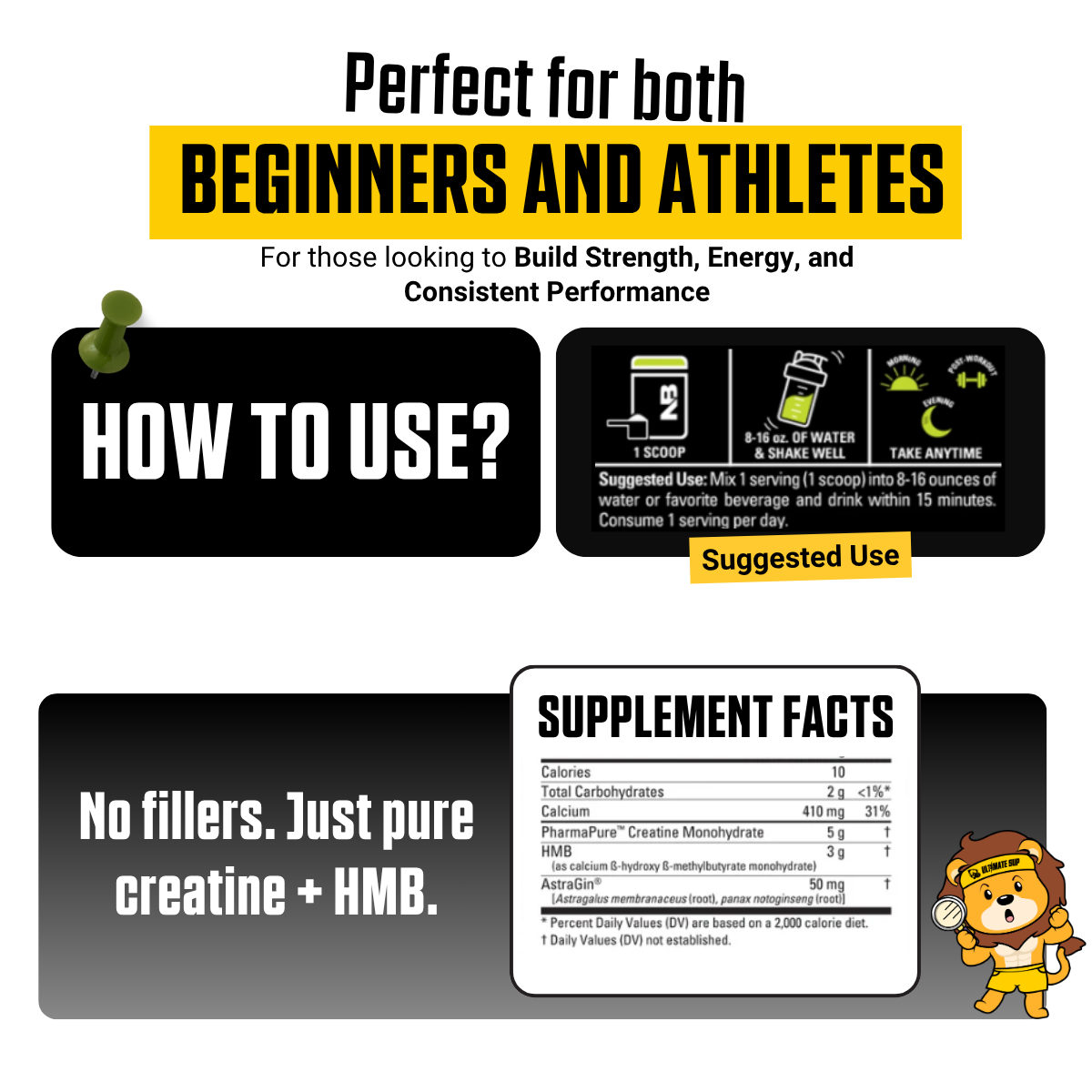 NutraBio, Monohydrate Creatine+ HMB, Micronized Powder, Fast Absorption and Maxizimes Muscle, 30ser