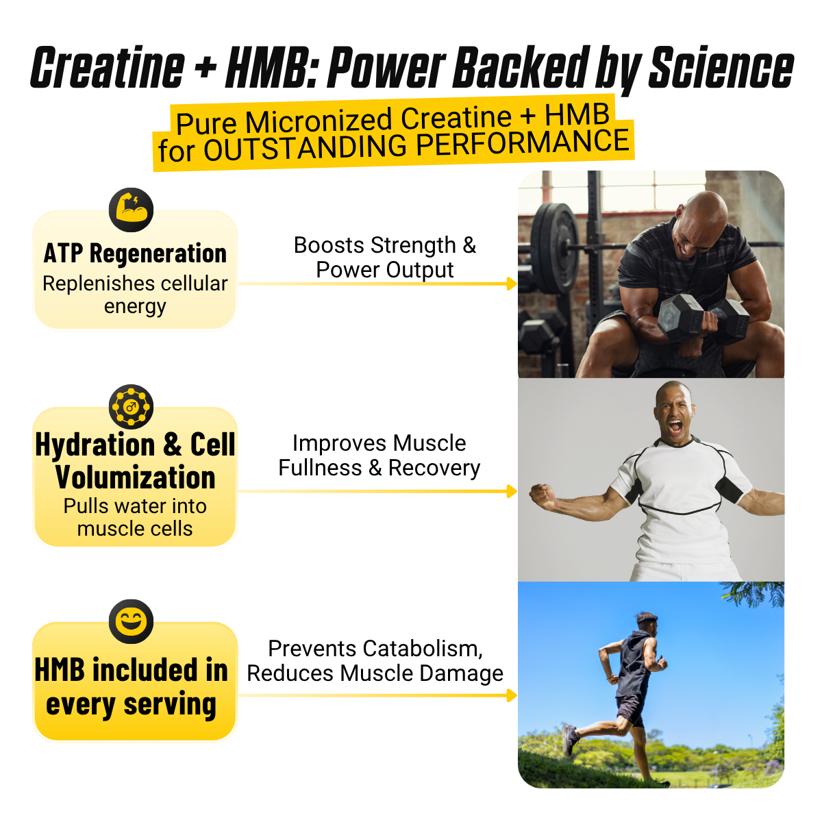 NutraBio, Monohydrate Creatine+ HMB, Micronized Powder, Fast Absorption and Maxizimes Muscle, 30ser