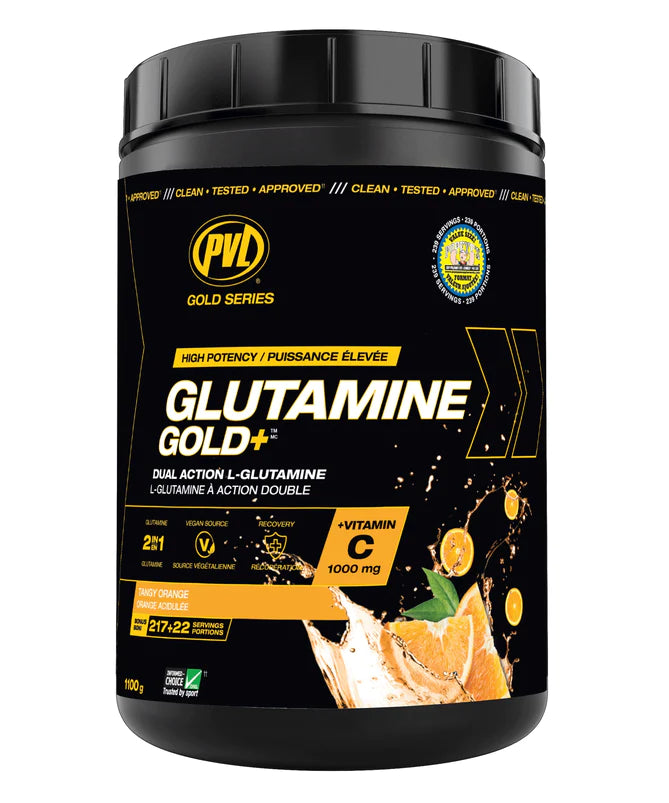 PVL Gold Series, Glutamine Gold+, Amino Acid, Improve Digestion & Supports Immune System, 1100 g (239 Servings) - Ultimate Sup Singapore